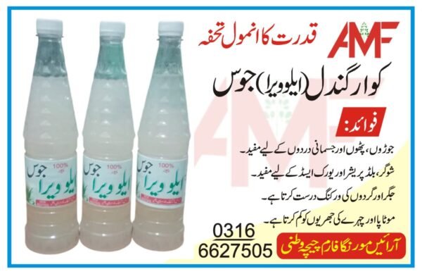 Alo Vera Juice 700 gram