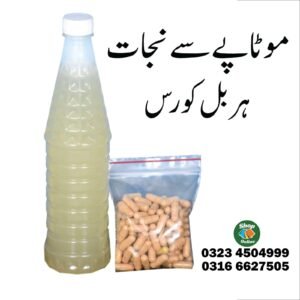 موٹاپہ نجات کورس
